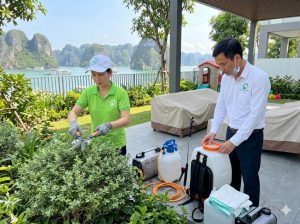 Nhân viên đang thi công dịch vụ diệt muỗi tại Hạ Long