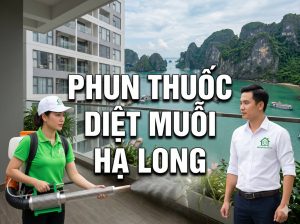 Dịch vụ phun thuốc diệt muỗi Hạ Long chuyên nghiệp, diệt muỗi tận gốc