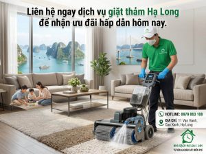 Liên hệ dịch vụ giặt thảm Hạ Long qua hotline 0979 063 108 để nhận báo giá và ưu đãi khảo sát miễn phí