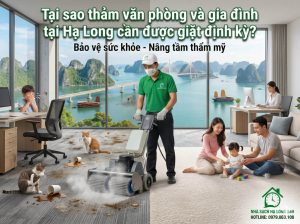 Tại sao nên giặt thảm văn phòng và gia đình tại Hạ Long định kỳ để bảo vệ sức khỏe