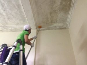 Dịch vụ tẩy mốc thi công an toàn: Nhân viên che phủ giường tủ bằng bạt chuyên dụng.