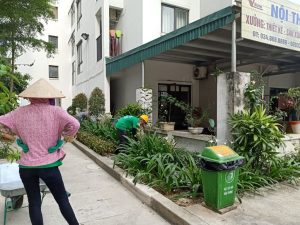 Nhân viên tạp vụ đang cắt tỉa cây xanh quanh khu vực chung cư.