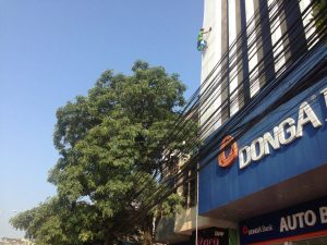 Kỹ thuật viên đang đu dây (rope access) để lau chùi biển Pano tấm lớn trên nóc tòa nhà cao tầng.