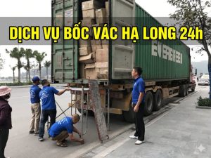 Đội ngũ công nhân dịch vụ bốc vác Hạ Long chuyên nghiệp đang bốc xếp hàng hóa cho doanh nghiệp.